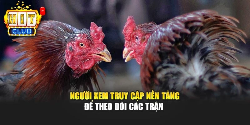 Người xem truy cập nền tảng để theo dõi các trận
